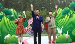 宋大嘴最新爆料新闻视频,最新爆料新闻视频深度解析