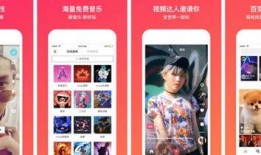 今日头条张姐爆料视频,揭秘事件背后惊人真相